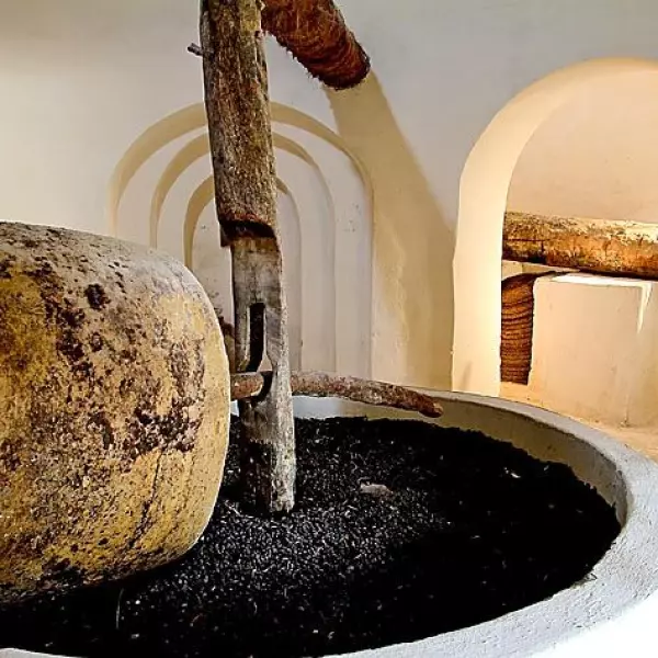 Huilerie de Djerba : Tradition Millénaire de l’Huile d’Olive
