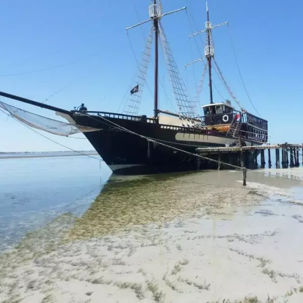 Ras Rmal : L’Essence Sauvage de Djerba