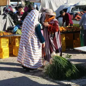 Mellita Djerba : Histoire, Plages & Visites | Guide Touristique 2025