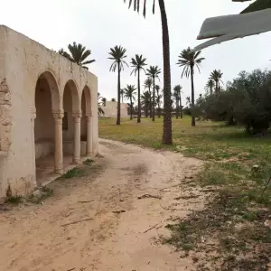 Triffa Djerba : Village Authentique Entre Nature, Artisanat et Spiritualité