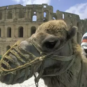El Jem : L’Amphithéâtre Romain le Plus Iconique de Tunisie