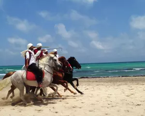 Culture et tradition à Djerba