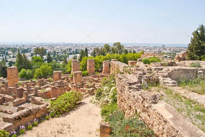 ruines de carthage