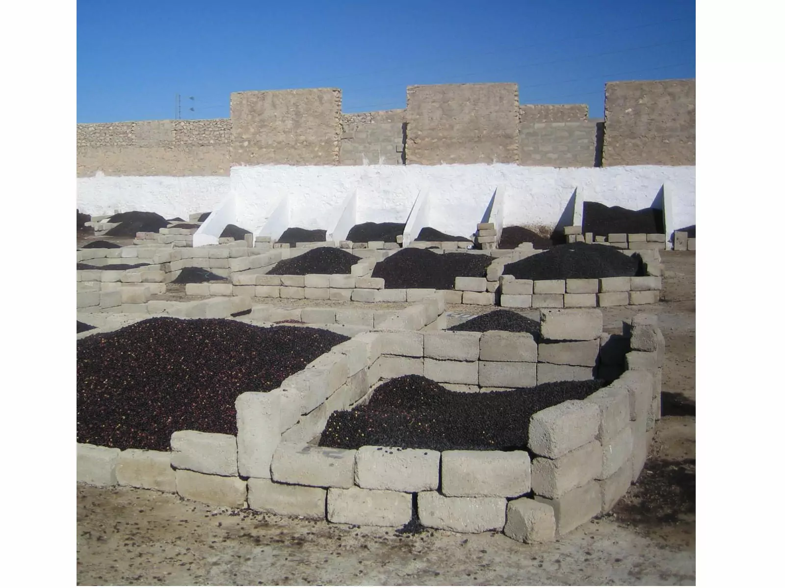 Huilerie de Djerba